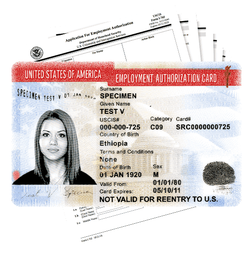 Employment Authorization Card